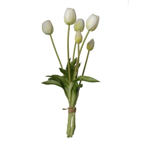 MAZZO TULIPANO X6 BIANCO E VERDE CM.39